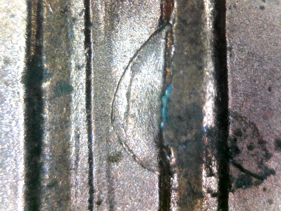 2004-D-LMC-Early-Stage-Wasp-Nest-Die-Chip.